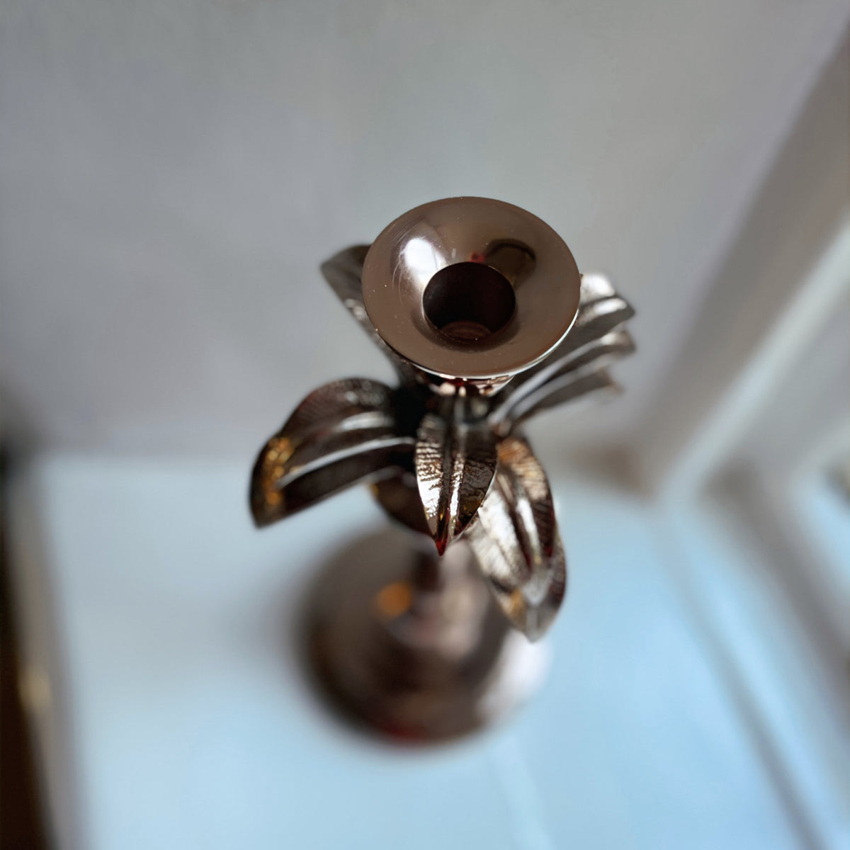 Taper candle cup on the small palm tree candlestick, viewed from above