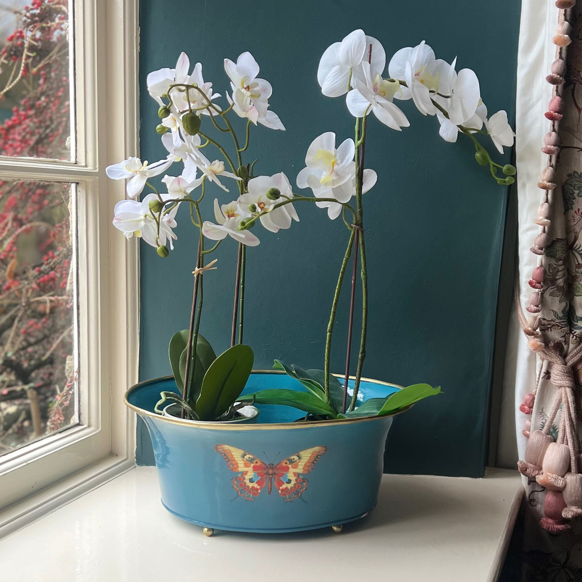 Butterfly ornamental planter in blue with white orchids on a windowsill