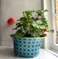 Harlequin enamel and brass tabletop planter in Denim Blue with a red geranium