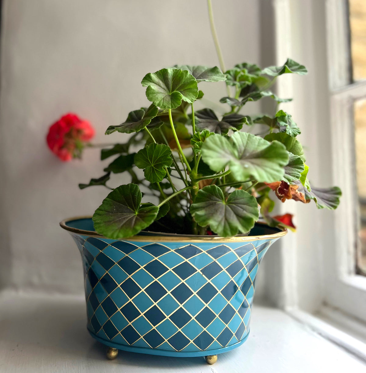 Harlequin enamel and brass tabletop planter in Denim Blue with a red geranium